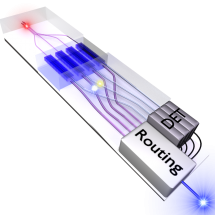 Cartoon of the four-way multiplexed light source showing on-chip photon generation and routing, credit Bernard Gay-Para.