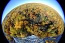 Summer turns to fall: view over the forest from the eddy-covariance tower.
Credit: Chris Vogel