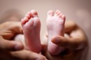 Reforms around surrogacy should focus on protecting women and children, not the ‘market’. INSAGO/Shutterstock