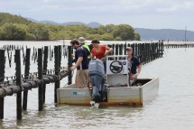 Research currently being conducted at the Centre includes developing molecular markers for use in selectively breeding oysters to enhance disease resistance.