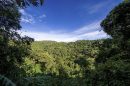 https://pixabay.com/en/uganda-jungle-forest-hill-travel-2111153/