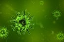 Image  from  qimono on Pixabay:
 https://pixabay.com/en/virus-microscope-infection-illness-1812092/