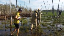 PhD student Daniel Sloane in the field with Yirralka Rangers on North East Arnhem Land floodplains