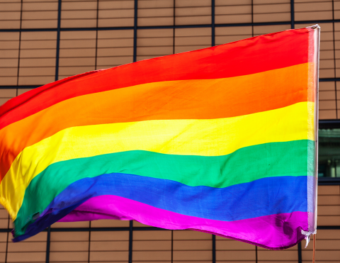 rainbow-flag_web
