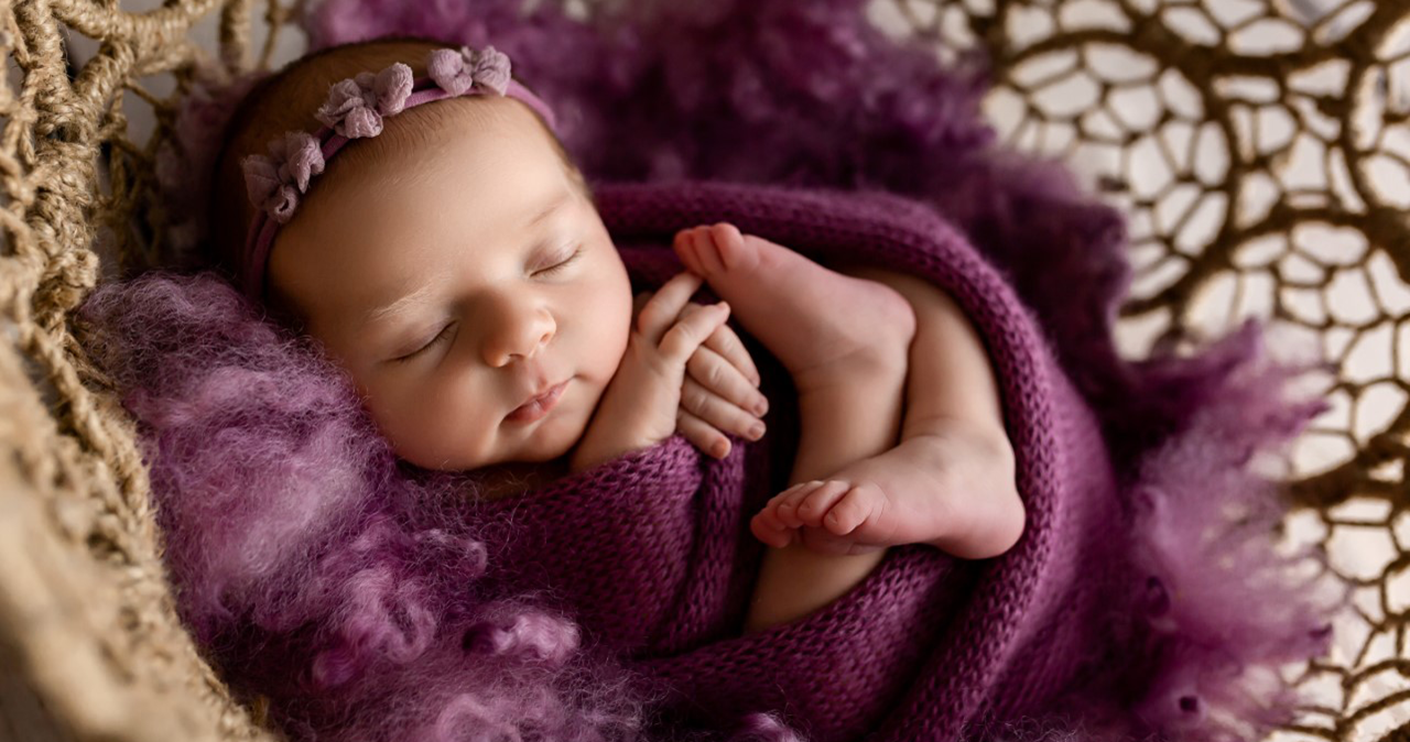 violet_web