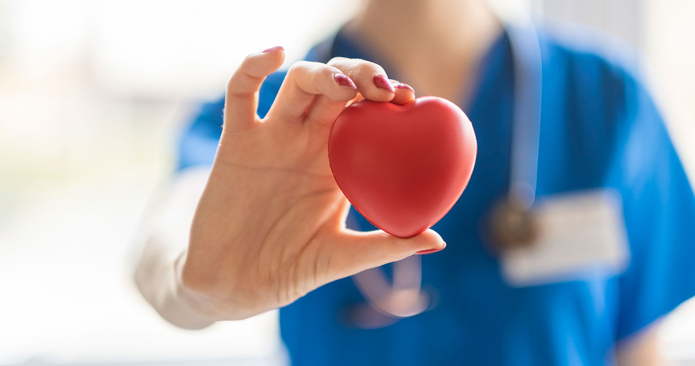 hand of medical professional holding a plastic heart